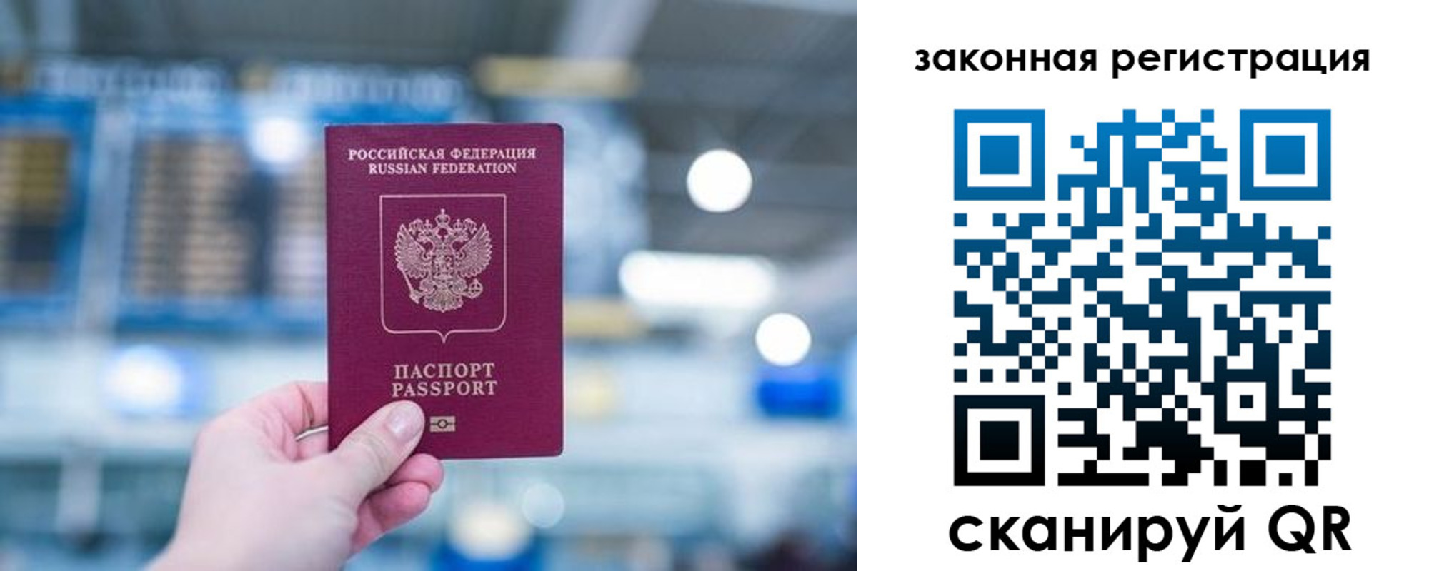 прописка поиск в Коврове
